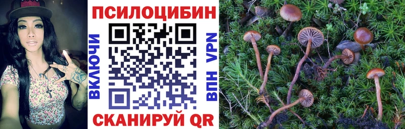 даркнет формула  кракен вход  Серов  Галлюциногенные грибы Psilocybe 